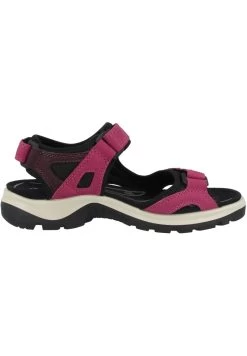 ECCO Trekkingsandale - Sangria-fig (069563-51760) -Ecco Schuhhimmel 50b40fc168864c98a1a74306b5d2b641